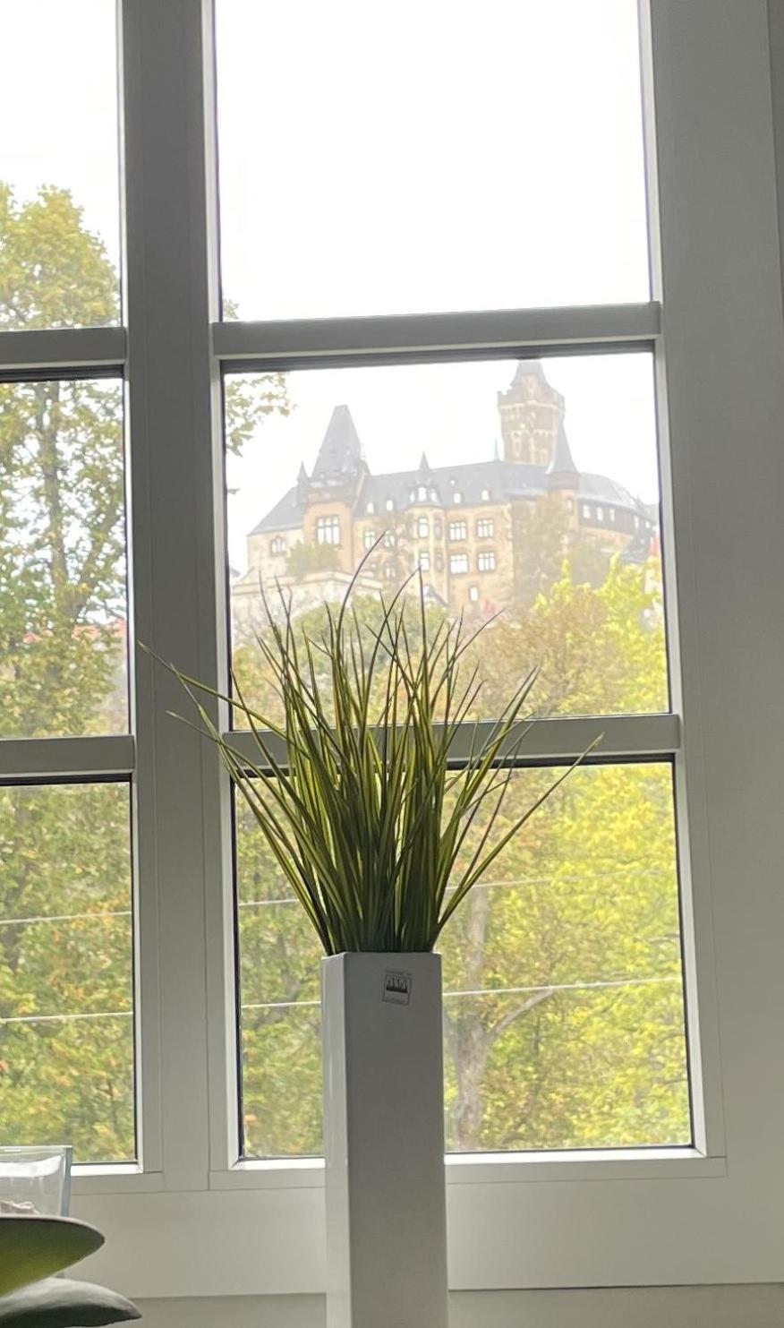 Haus Kreuzberg Mit Schlossblick Lejlighed Wernigerode Eksteriør billede