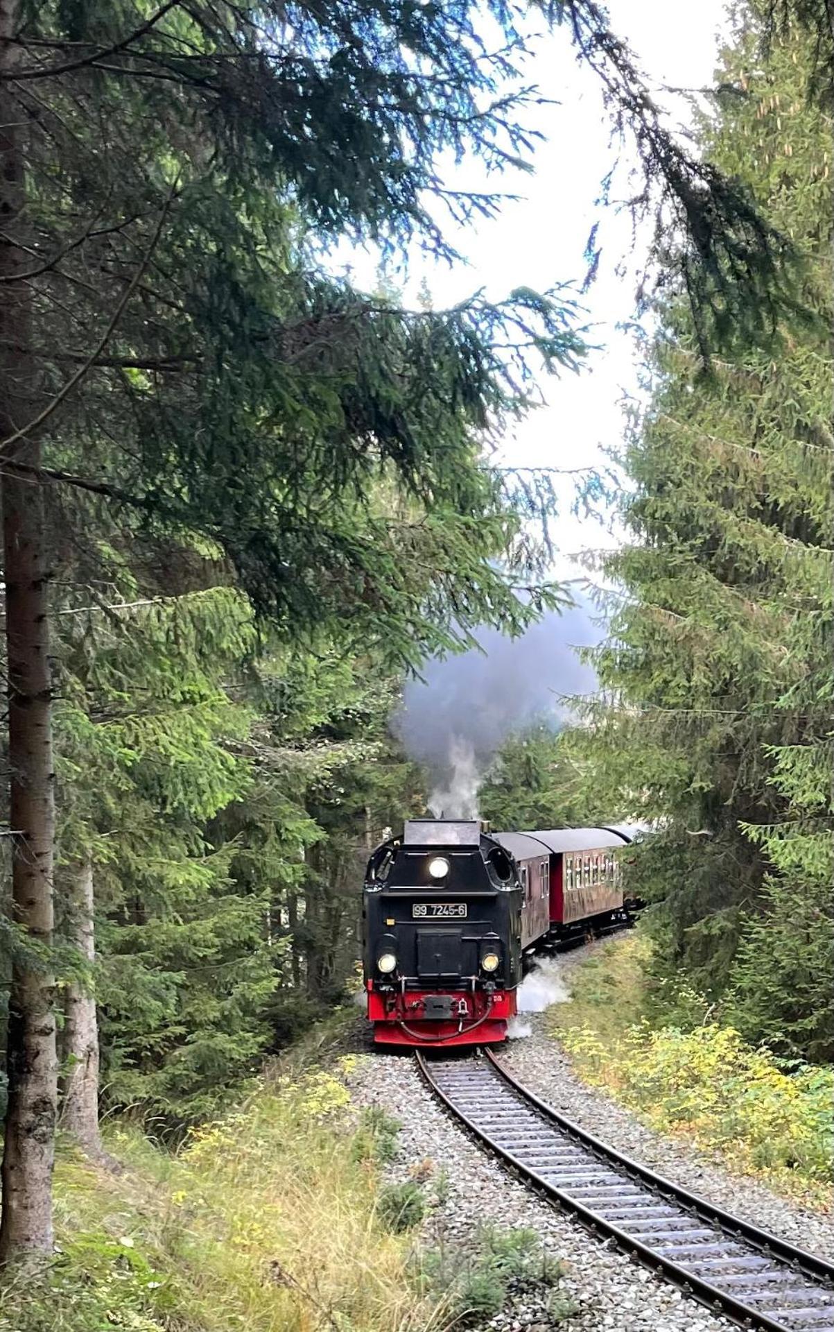 Haus Kreuzberg Mit Schlossblick Lejlighed Wernigerode Eksteriør billede